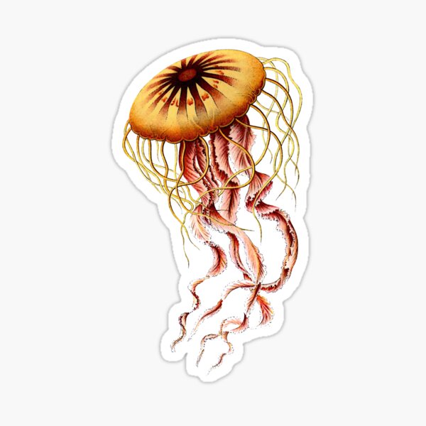 Item preview, Yellow Jellyfish - Art Forms of Nature designed and sold by BeautflBiology.