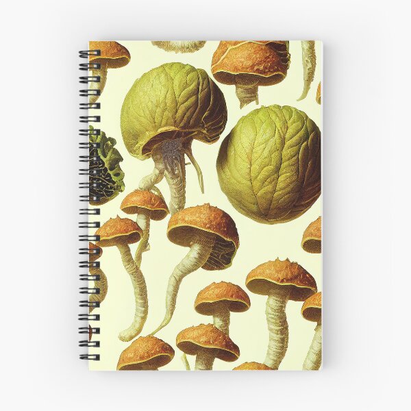Item preview, Hoja de anatomía de hongos y vegetales sobre fondo blanco roto designed and sold by Daemonrat.