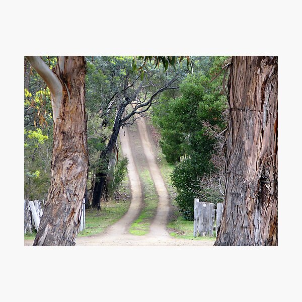 Country Road Photographic Print