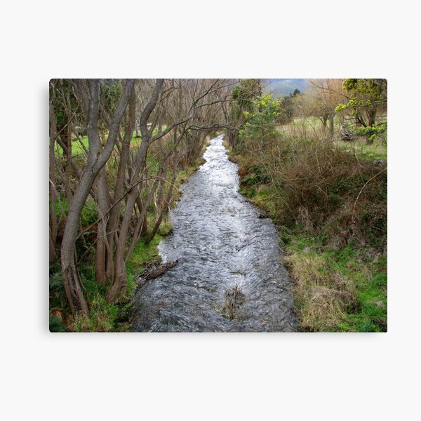 Lachlan Rivulet Canvas Print