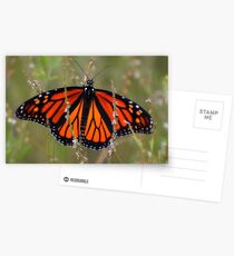 Free Colors. Postcards
