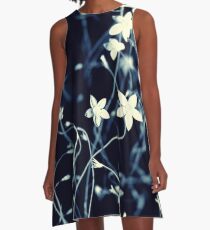 In Moonlight A-Line Dress