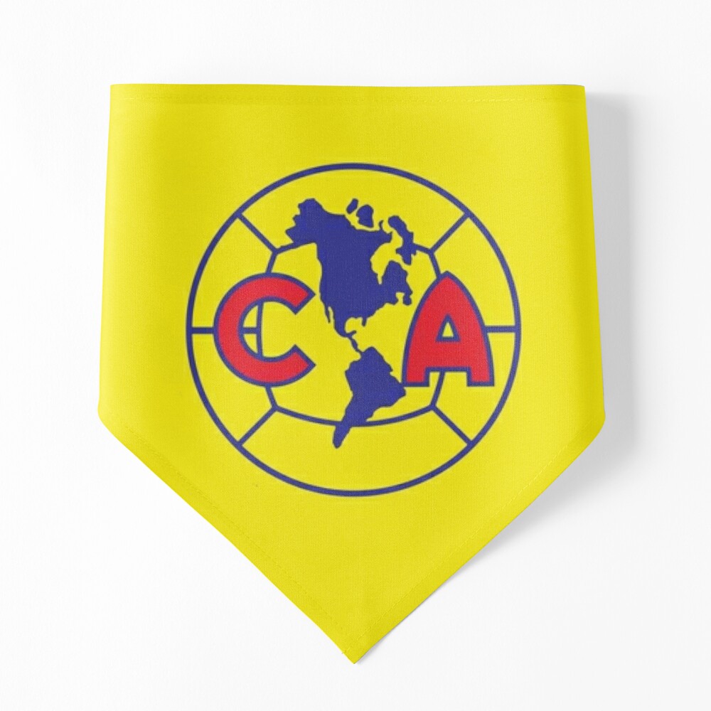 Club America Flag