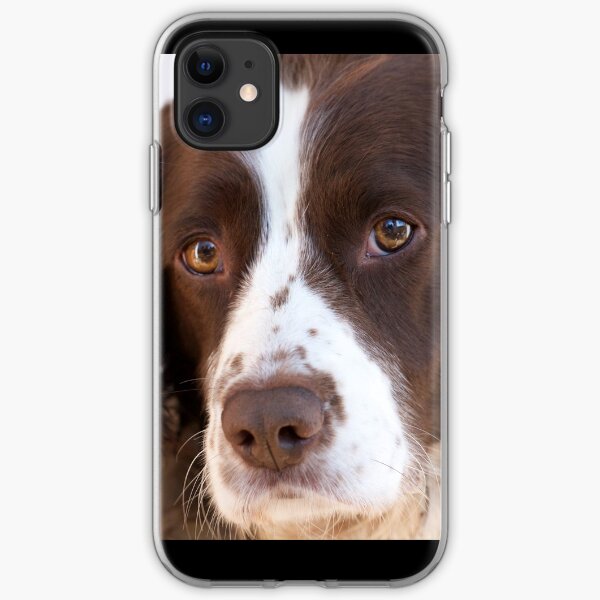 Brown and White Springer Spaniel Portrait iPhone Soft Case