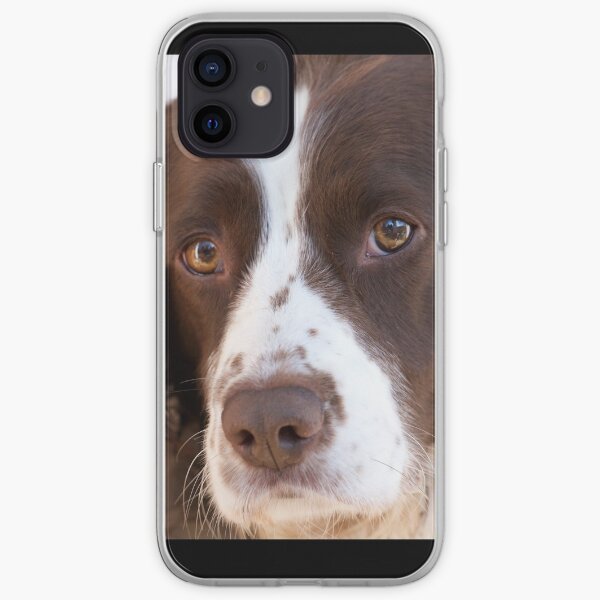 Brown and White Springer Spaniel Portrait iPhone Soft Case