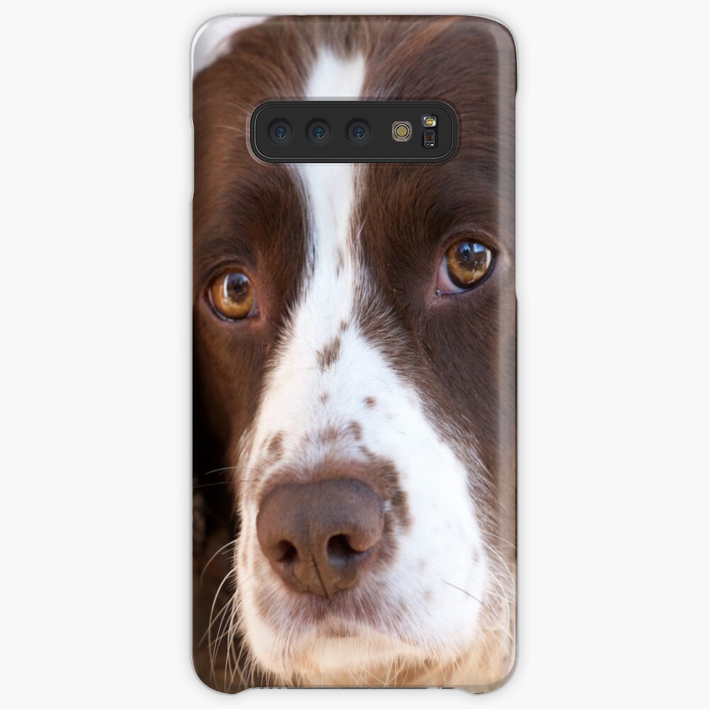 Brown and White Springer Spaniel Portrait Case & Skin for Samsung Galaxy