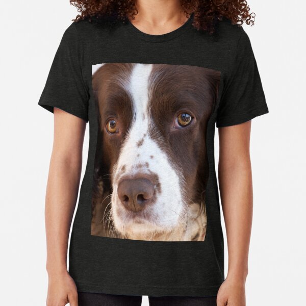 Brown and White Springer Spaniel Portrait Tri-blend T-Shirt