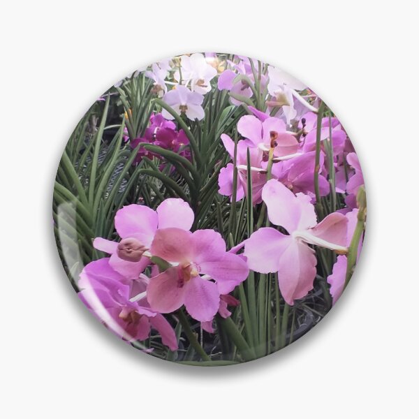 Item preview, Pink and White Vanda Orchids designed and sold by Floral-Art.