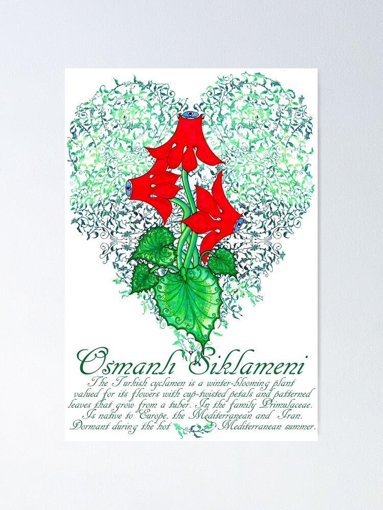 Osmanli Kadifesi Poster By Joancaronil Redbubble