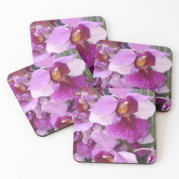 Item preview, Vanda Orchid Miss Joaquim designed and sold by Floral-Art.