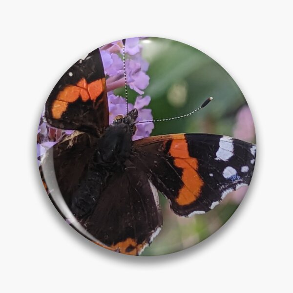 Artikelvorschau, Roter Admiral-Schmetterling entworfen und verkauft von RAParkinson.