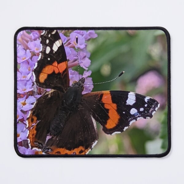 Item preview, Red Admiral butterfly  designed and sold by RAParkinson.