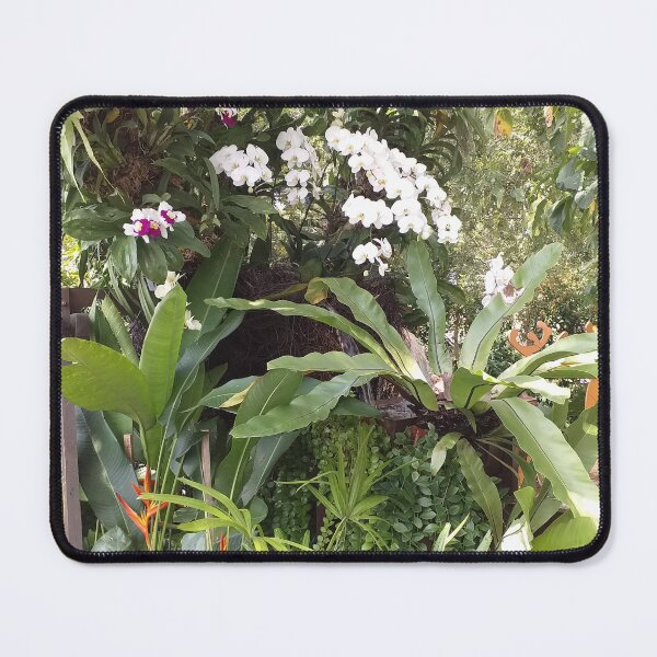 Item preview, Phalaenopsis Orchids and Tropical Plants designed and sold by Floral-Art.