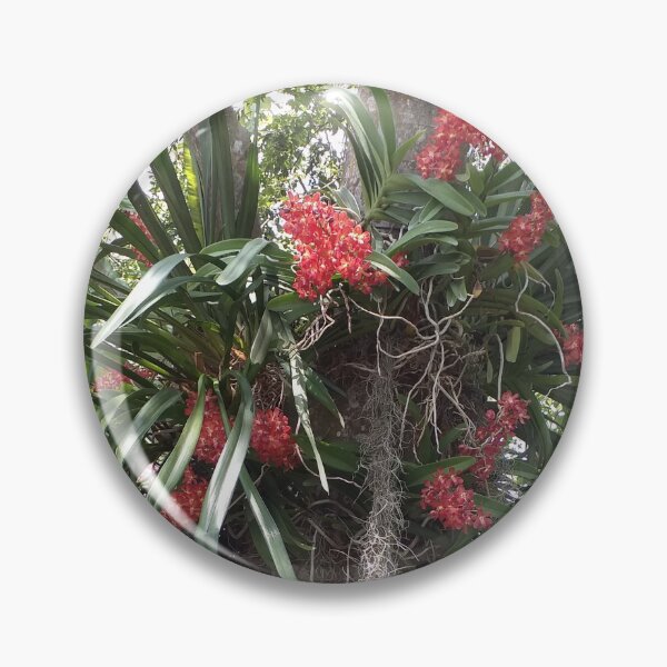 Item preview, Vanda Orchids in Trees designed and sold by Floral-Art.