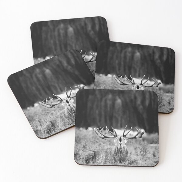 Item preview, Stag designed and sold by photobytableau.