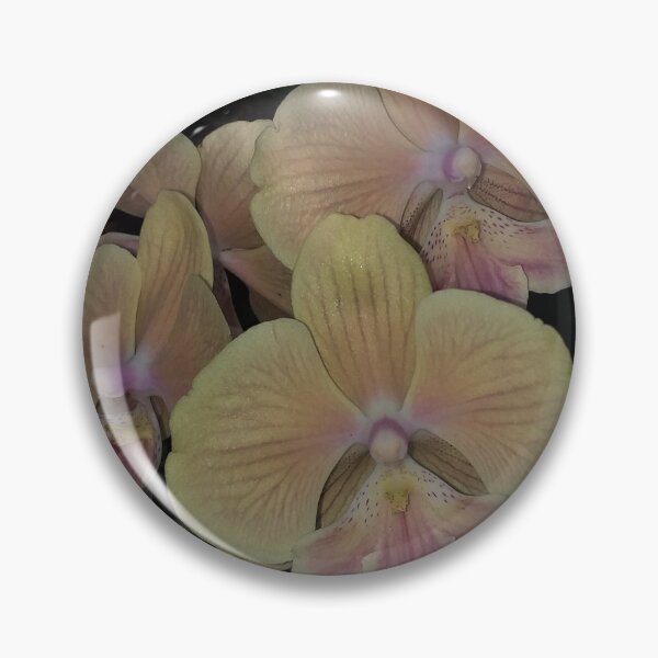 Item preview, Phalaenopsis Orchid designed and sold by Floral-Art.