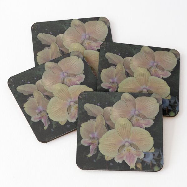 Item preview, Phalaenopsis Orchid designed and sold by Floral-Art.
