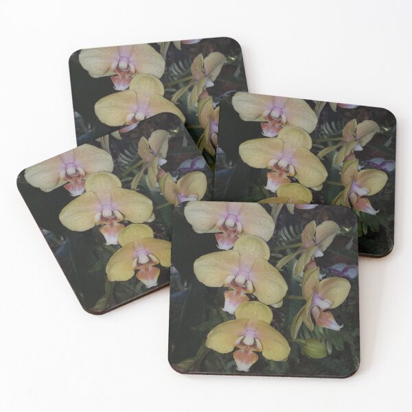 Item preview, Phalaenopsis Orchids designed and sold by Floral-Art.