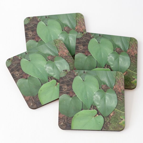 Item preview, Heart Shaped Leaves designed and sold by Floral-Art.