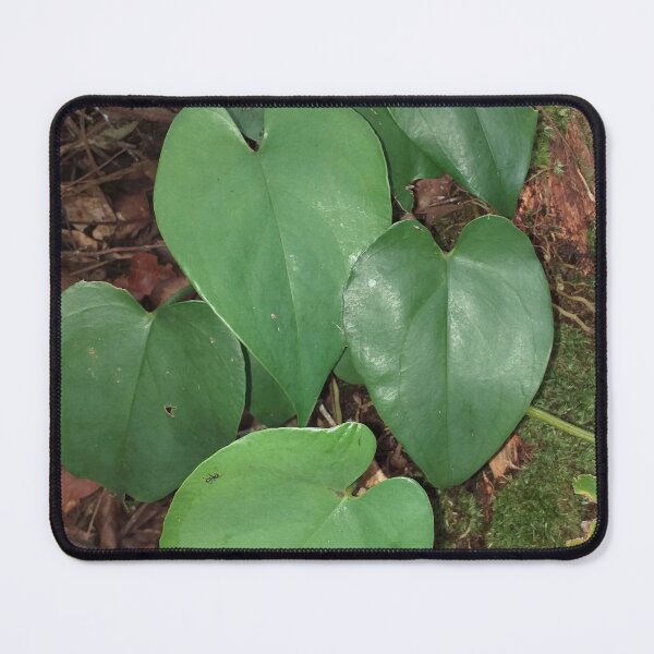 Item preview, Heart Shaped Leaves designed and sold by Floral-Art.