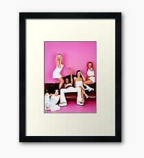 SPICE 6 Framed Print