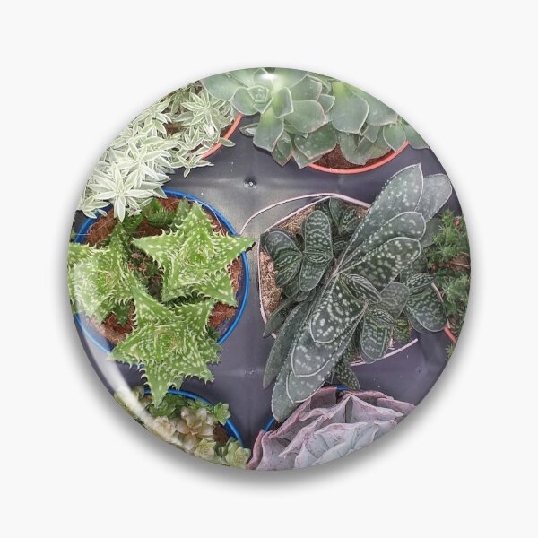 Item preview, Mixed Succulents designed and sold by Floral-Art.