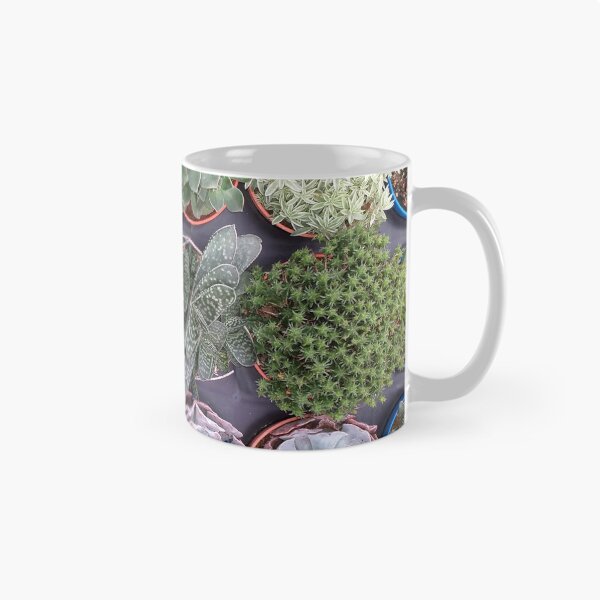 Item preview, Mixed Succulents designed and sold by Floral-Art.
