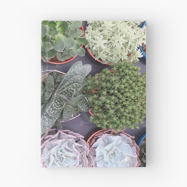 Item preview, Mixed Succulents designed and sold by Floral-Art.