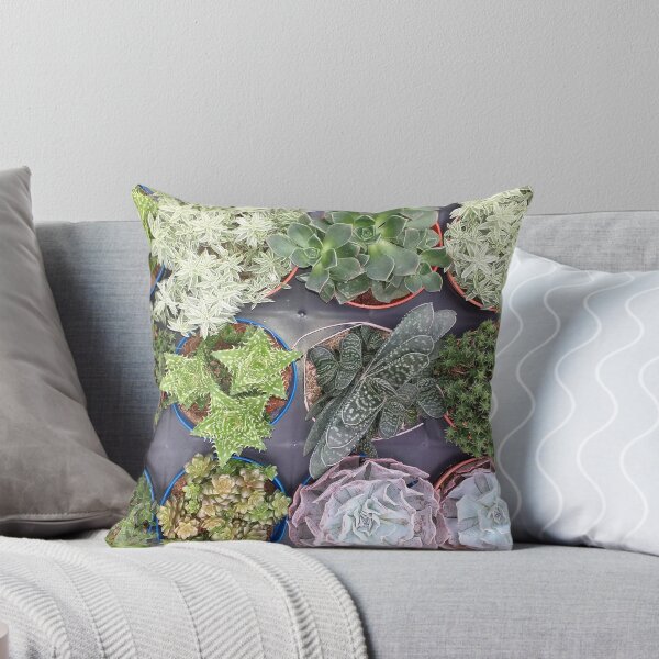 Item preview, Mixed Succulents designed and sold by Floral-Art.
