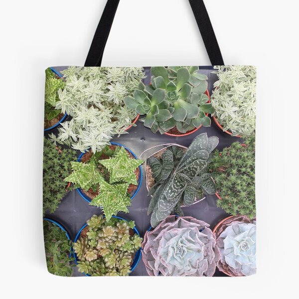 Item preview, Mixed Succulents designed and sold by Floral-Art.