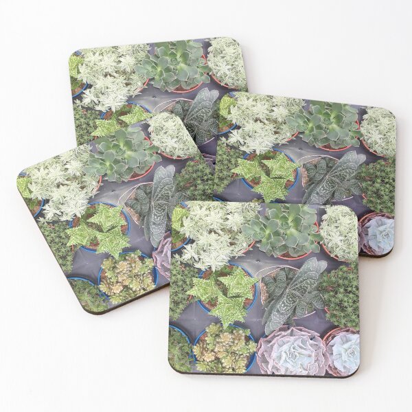 Item preview, Mixed Succulents designed and sold by Floral-Art.
