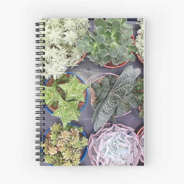 Item preview, Mixed Succulents designed and sold by Floral-Art.