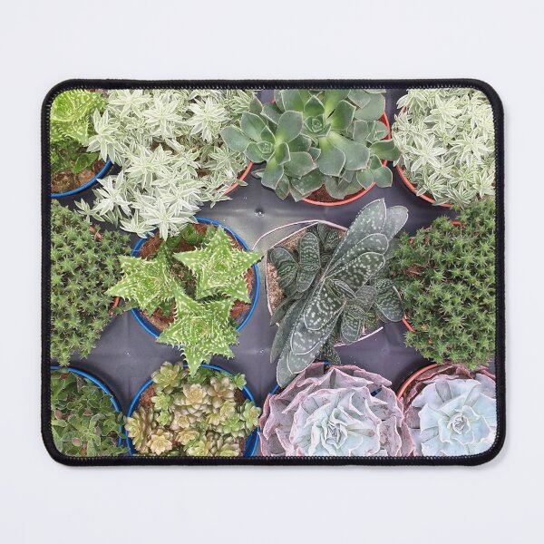 Item preview, Mixed Succulents designed and sold by Floral-Art.
