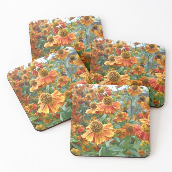 Item preview, Sneezewort Plants designed and sold by Floral-Art.