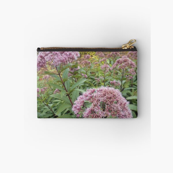 Item preview, Eupatorium Plants designed and sold by Floral-Art.