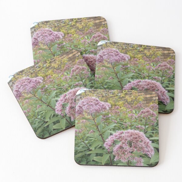 Item preview, Eupatorium Plants designed and sold by Floral-Art.