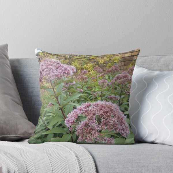 Item preview, Eupatorium Plants designed and sold by Floral-Art.