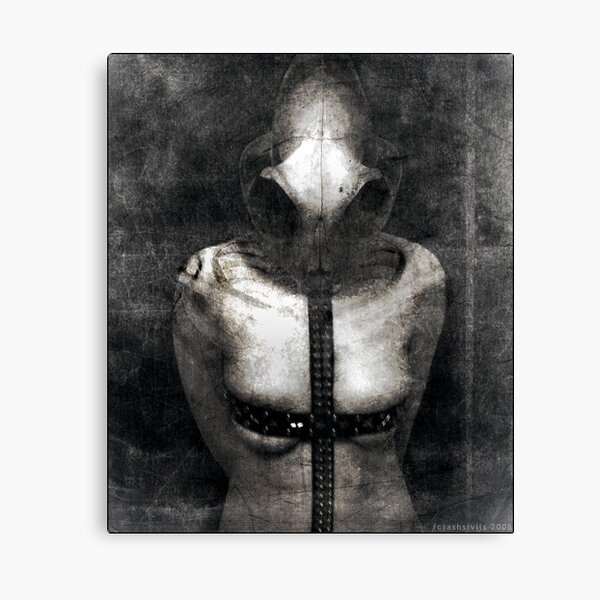 Untitled II Canvas Print