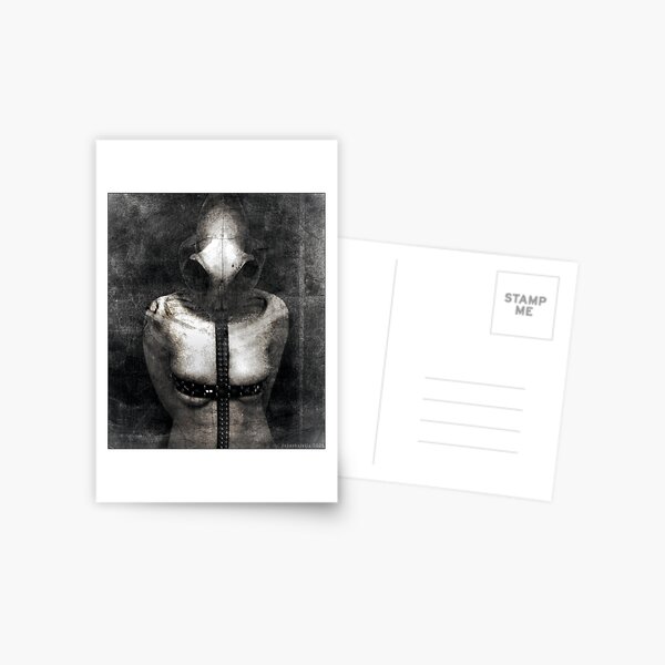 Untitled II Postcard