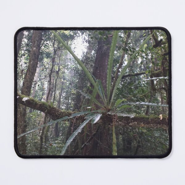 Item preview, Jungle Fern designed and sold by Floral-Art.