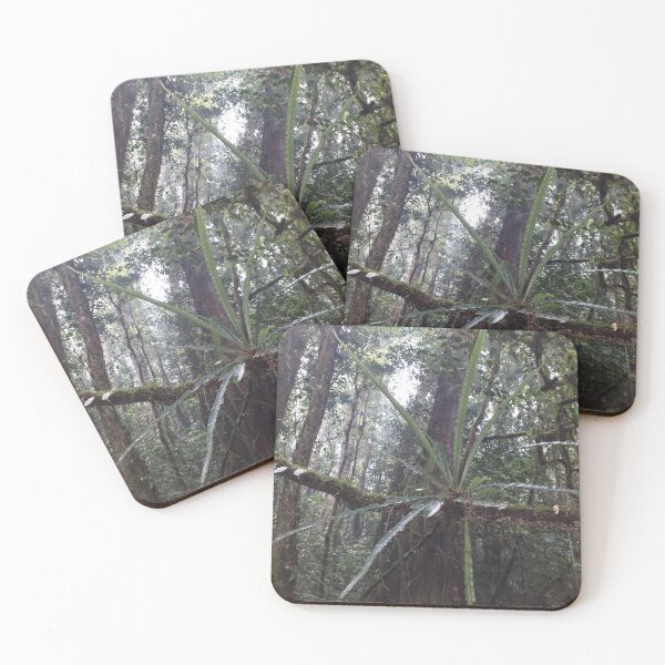 Item preview, Jungle Fern  designed and sold by Floral-Art.