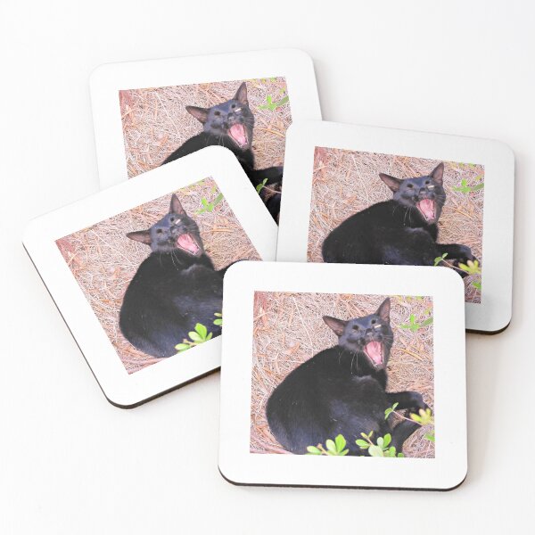 Item preview, Sleepy cat designed and sold by BiodiversityRocks.
