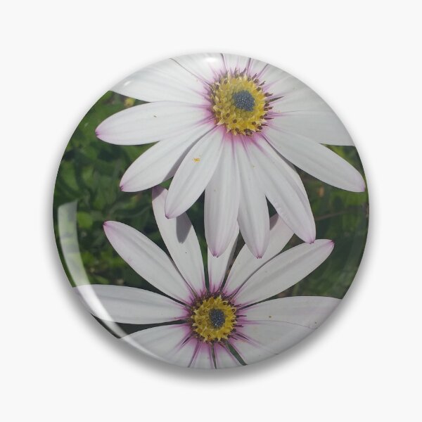 Item preview, Osteospermum Flowers designed and sold by Floral-Art.
