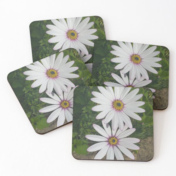 Item preview, Osteospermum Flowers designed and sold by Floral-Art.