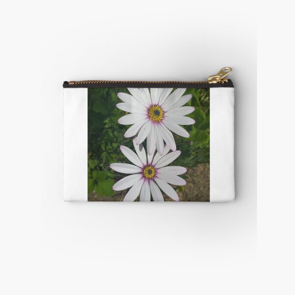 Item preview, Osteospermum Flowers designed and sold by Floral-Art.