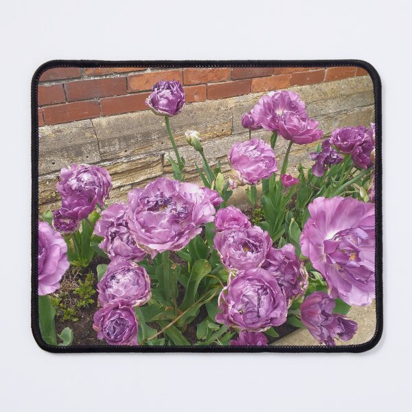 Item preview, Purple Parrot Tulips designed and sold by Floral-Art.