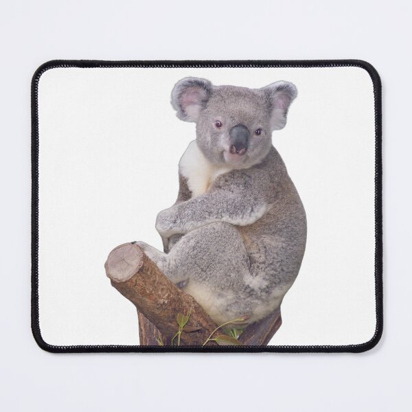 Item preview, Koala Bear on a tree designed and sold by LaneyRyDesigns.