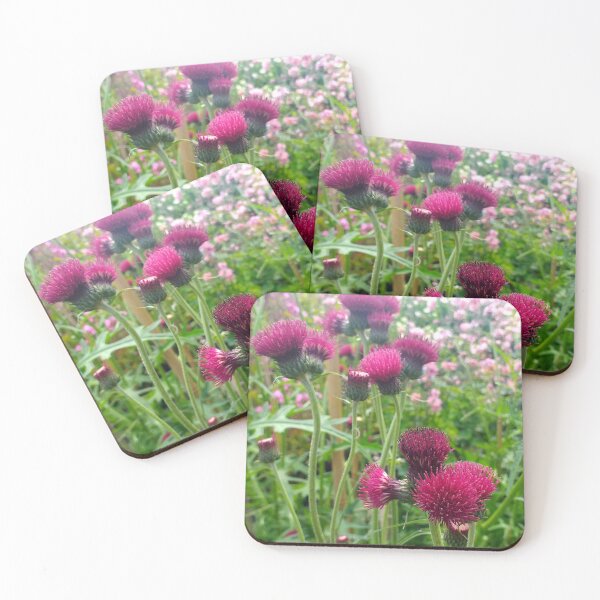 Item preview, Cirsium rivulare var atropurpureum designed and sold by Floral-Art.