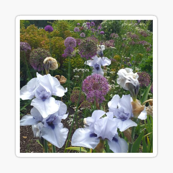 Item preview, Ice-Blue Irises and Purple Alliums designed and sold by Floral-Art.