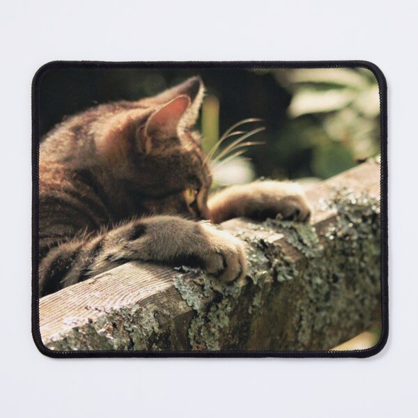 Item preview, tabby cat designed and sold by Francespoppy.
